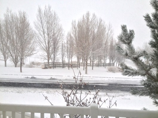 Photo 2013-03-23 07.16.24 PM