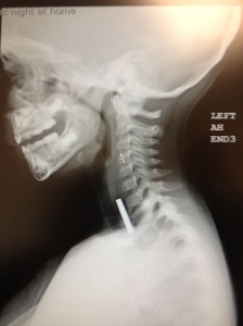 Photo 2013-05-19 02.01.41 PM