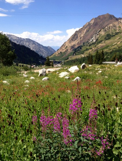 Photo 2013-07-30 03.12.30 PM