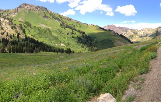 Photo 2013-07-30 03.14.31 PM