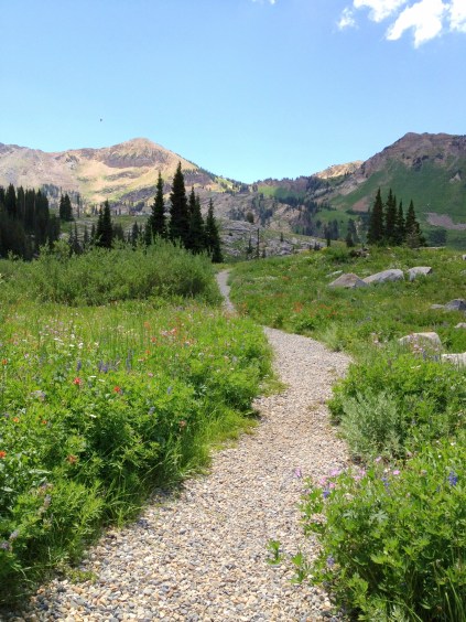 Photo 2013-07-30 03.25.25 PM