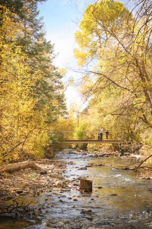 0004_Shaffer_9247[1]