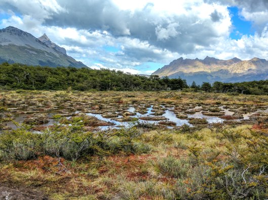 lagunaesmereldaboggy