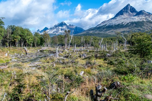 lagunaesmereldafirstview